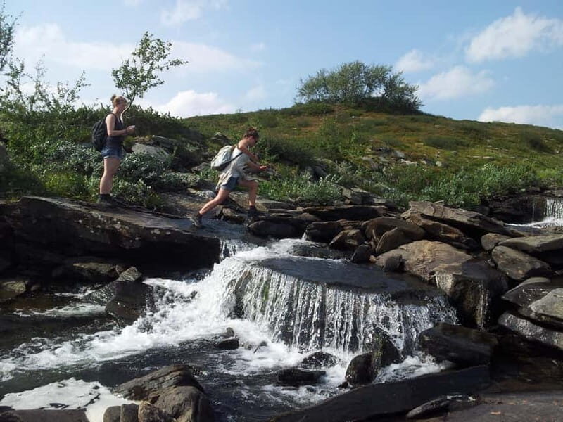 Vindelfjäll nature reserve: A walk through reindeer country - The Route and Highlights