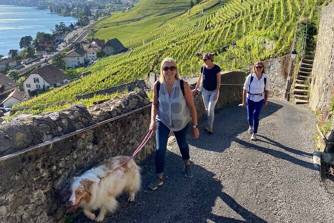 Vine Stories: Lavaux & Lutry wine walk - Key Points