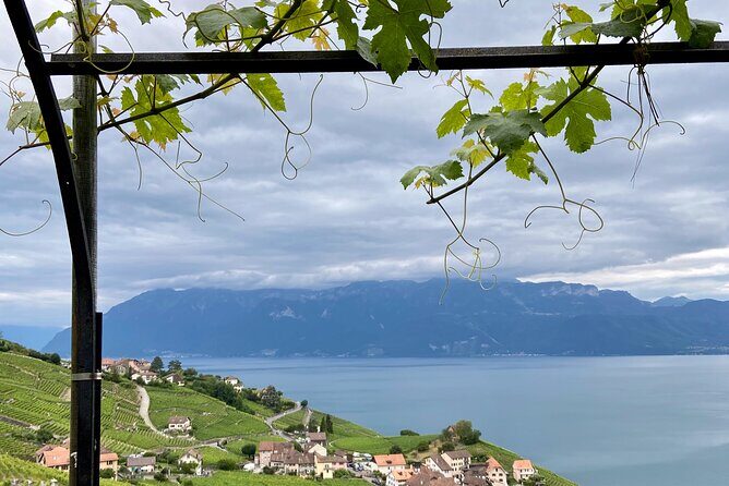 Vine Stories: Lavaux & Lutry wine walk - An In-Depth Look at the Lavaux & Lutry Wine Walk Experience