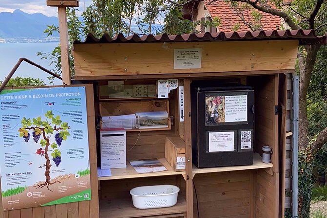 Vine Stories: Lavaux & Lutry wine walk - Frequently Asked Questions