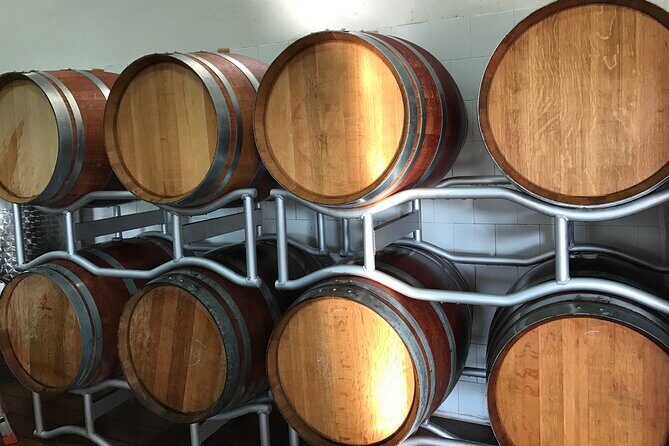 Vineyard experience in Pozzuoli - A Detailed Look at the Vineyard Experience in Pozzuoli