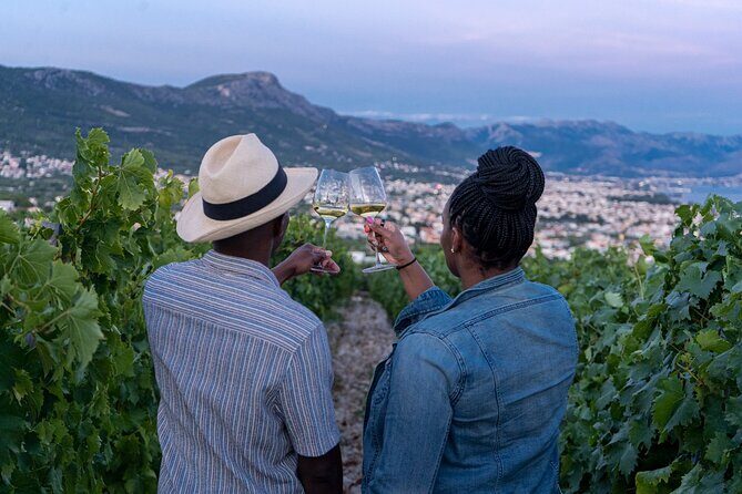 Vineyard Experience: Wine Tasting near Split - Vineyard Experience: Wine Tasting near Split