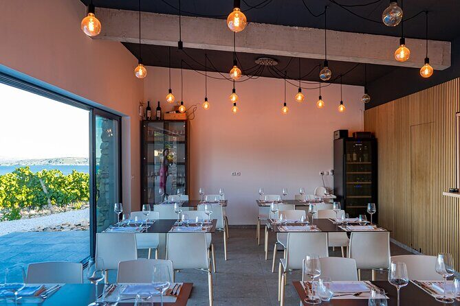 Vineyard Experience: Wine Tasting near Split - Final Thoughts