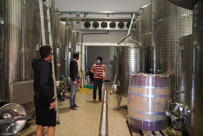 Vineyard Tour and Tasting of Lugana Wines - Who Will Love This Tour?