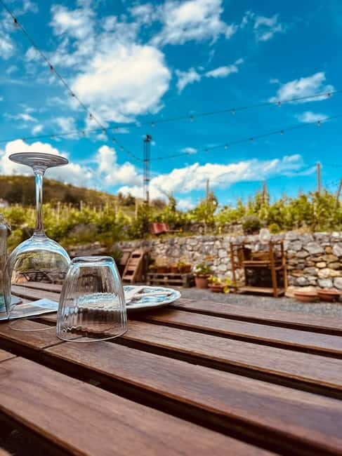 Vineyard Tour and Wine Tasting - A Closer Look at the Vineyard Tour and Wine Tasting