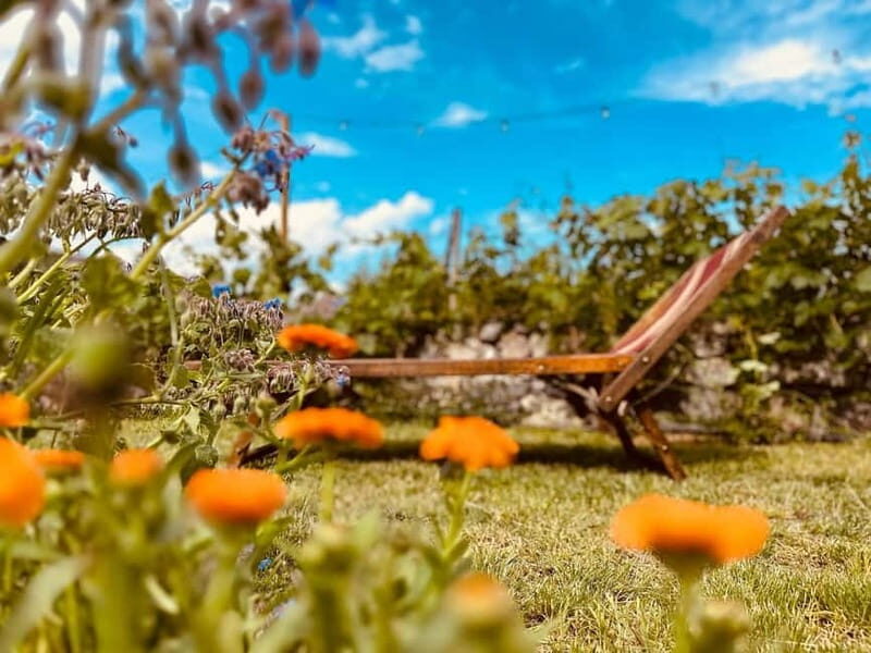 Vineyard Tour and Wine Tasting - FAQs