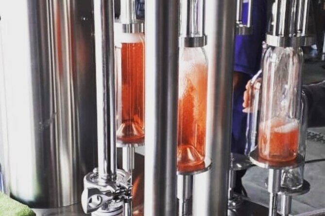 Vineyard, tour, tasting and fun in San Miguel de Allende - A detailed look at what to expect from this vineyard tour