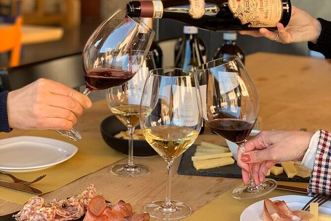 Vineyard Tour with Light Lunch in Valpolicella - Key Points