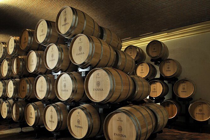 Vineyard Tour with Light Lunch in Valpolicella - An In-Depth Look at the Tour Experience