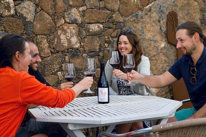 Vineyard tour with wine tasting and local products - Key Points