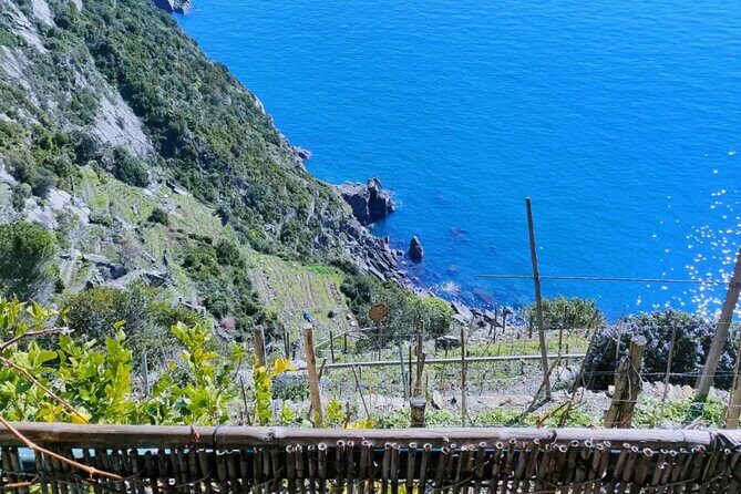 Vineyard Tour with Wine Tasting in Cinque Terre - Practical Details and What to Expect