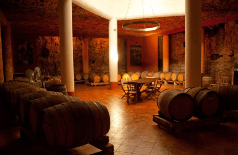 Vineyard Walk & Wine Tasting in the Berici Hills of Vicenza - FAQ