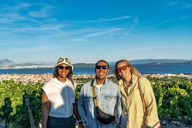 Vineyard Wine Tasting Experience with a Sea view from Split - An Overview of the Experience