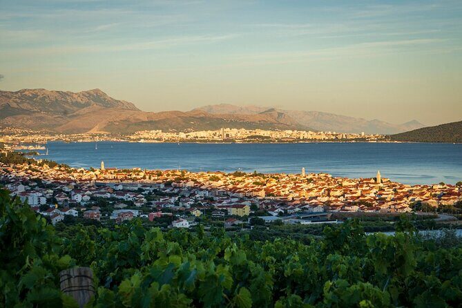 Vineyard Wine Tasting Experience with a Sea view from Split - FAQs