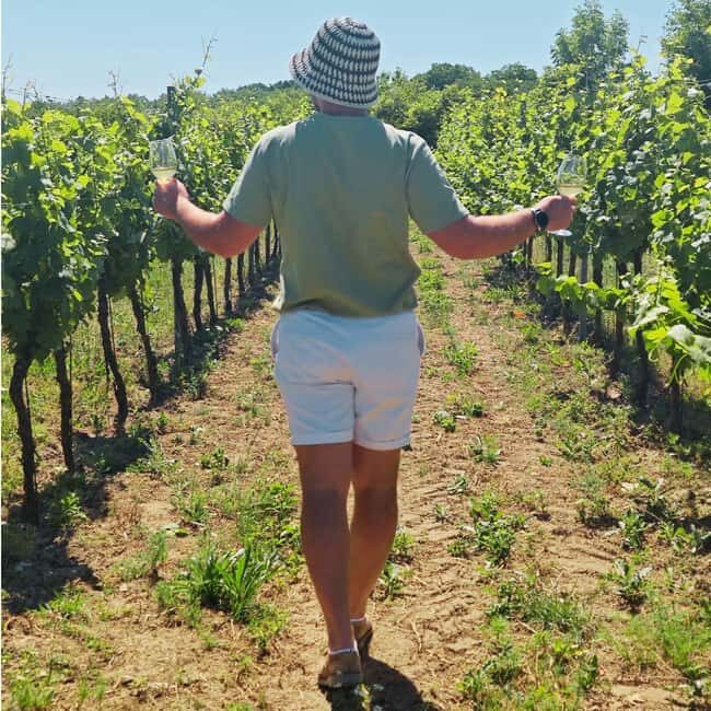 Vineyards & Castles : Czech Wine and Culture Tour - Key Points