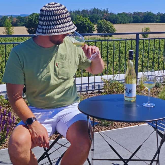 Vineyards & Castles : Czech Wine and Culture Tour - Who Should Consider This Tour?