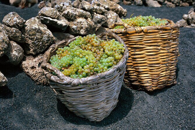 Vineyards of La Geria hiking tour - Practical Considerations