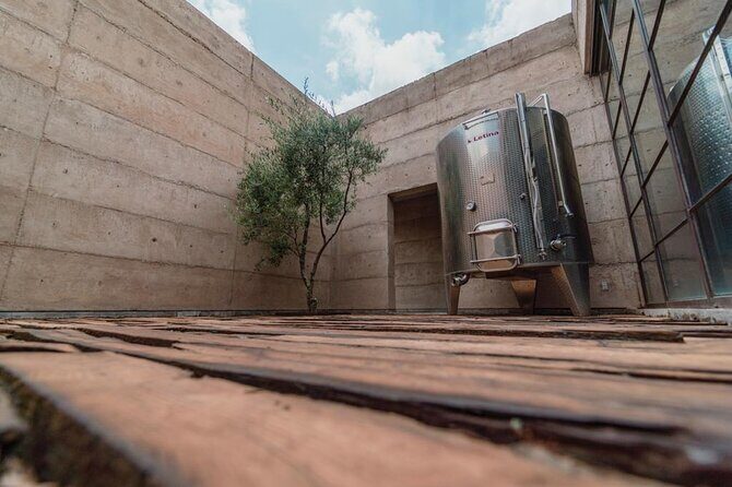 Vineyards, Wine Tasting and Pairing in San Miguel - Frequently Asked Questions