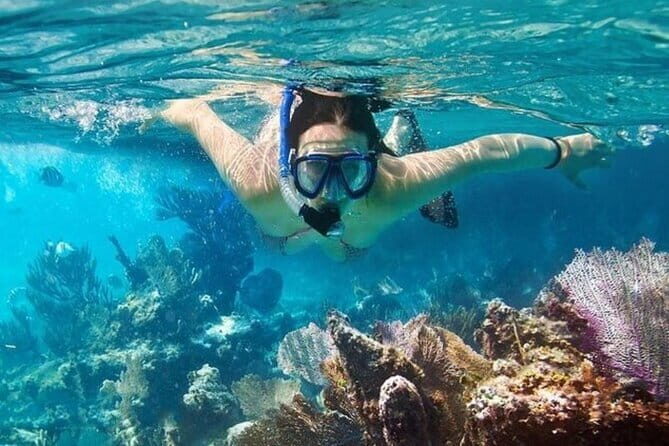 Vinh Hy Bay Adventure: Snorkeling & Swimming Journey from Mui Ne - FAQ