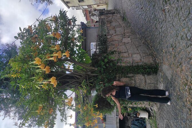 Vinho Verde 2 Wineries + Cultural Guimarães - Private/from Porto - FAQs