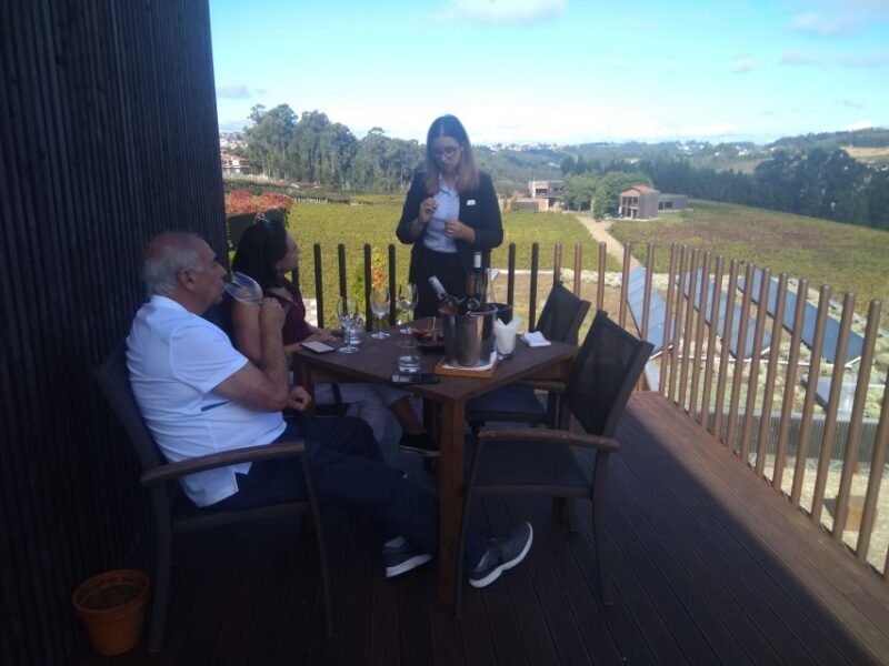 Vinho Verde 2 Wineries + Guimarães - from Porto - The Sum Up