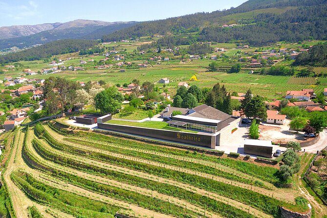 Vinho Verde Experience with 2 Wineries and Lunch - Key Points