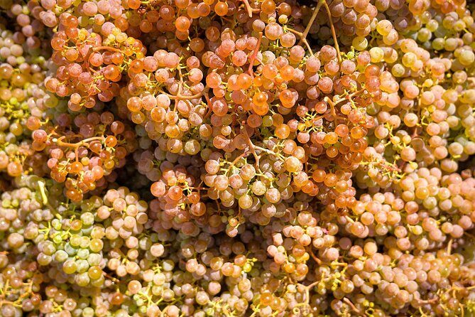 Vinho Verde Experience with 2 Wineries and Lunch - Exploring the Itinerary in Detail