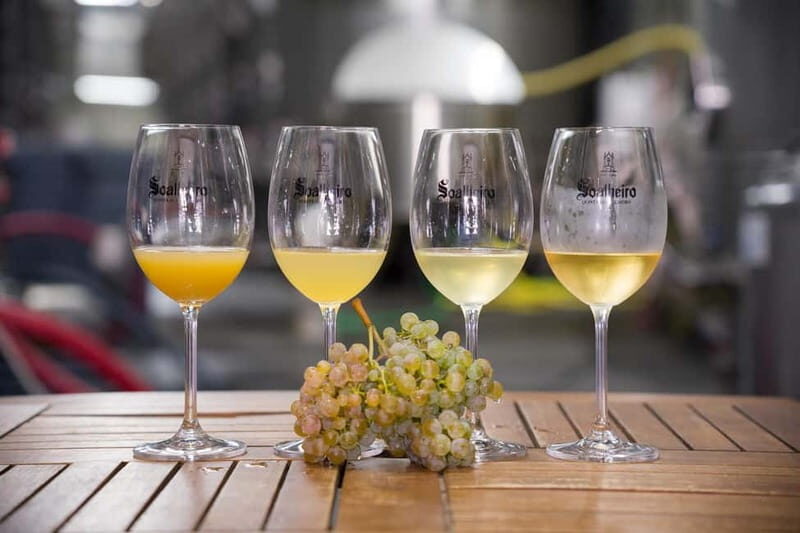 Vinho Verde: Private Wine Tasting w/ Tapas & Fortress Visit - Introduction: Why This Tour Stands Out