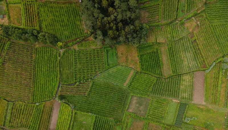 Vinho Verde: Private Wine Tasting w/ Tapas & Fortress Visit - The Value of This Experience