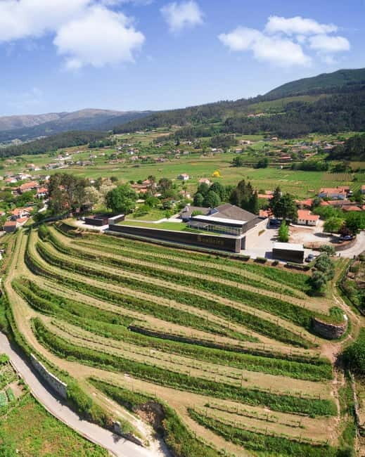 Vinho Verde: Private Wine Tasting w/ Tapas & Fortress Visit - Final Thoughts: Is It Worth It?