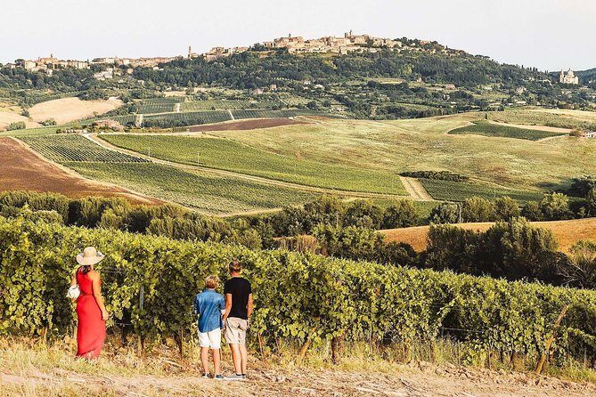 Vino Nobile di Montepulciano Wine Tour - Meet the producers - Key Points
