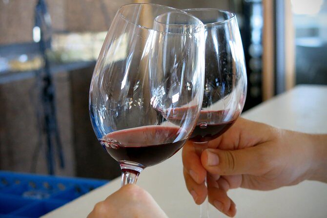 Vino Venture: Explore With A Local - Troodos Mountains thru Wine! - The Sum Up: A Flavorful Taste of Cyprus