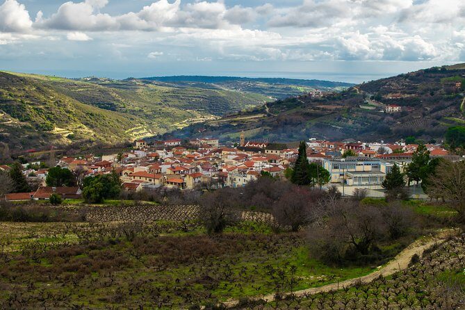 Vino Venture: Explore With A Local - Troodos Mountains thru Wine! - Winding Down: The Final Winery and Return