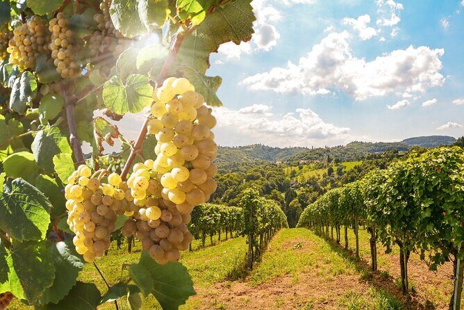 Vino Voyage Niagara Wine Country Bus Tour - FAQ