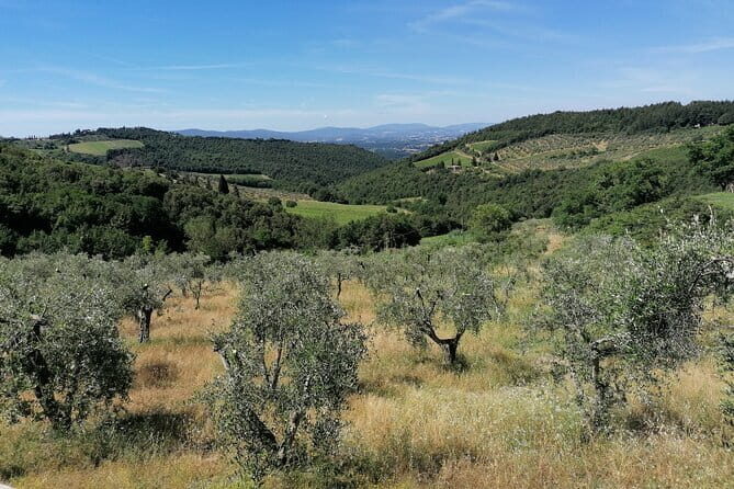 Vintage Fiat 500 Experience in the Florentine Hills - FAQ