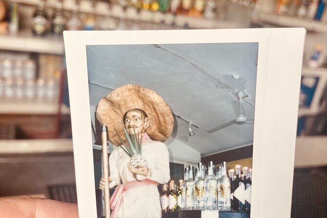 Vintage Polaroid Film Shoot in Puerto Vallartas Secret Spots - What to Expect from the Tour