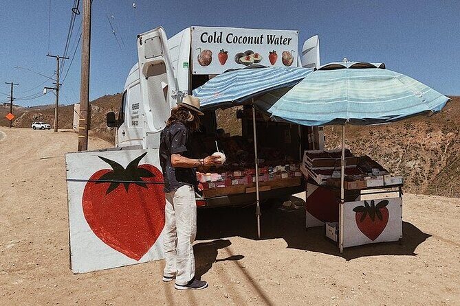 Vintage VW Hippie Shared Tour to Malibu with Wine Tasting - Authentic Insights From Reviewers