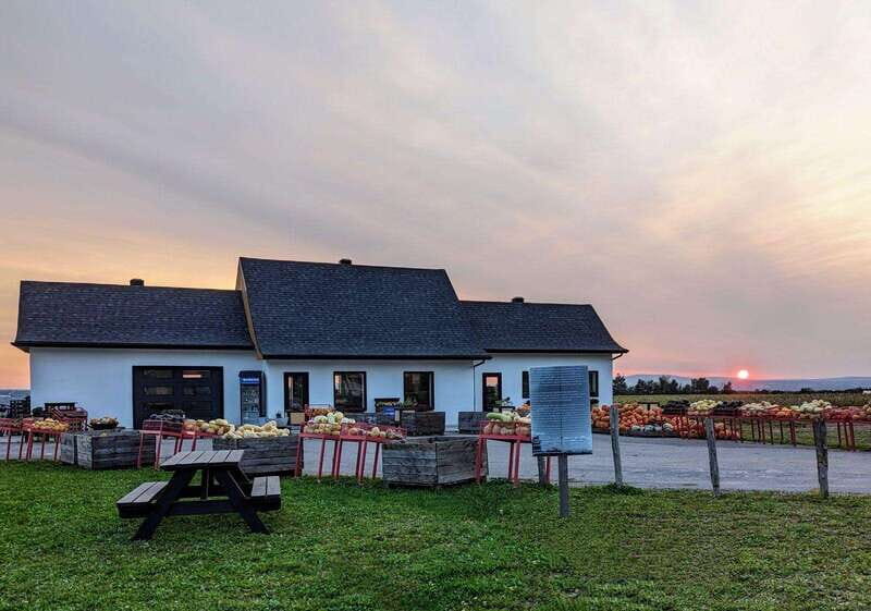 VIP Agritourism Tour of Île d'Orléans & Montmorency Fall - Final Thoughts