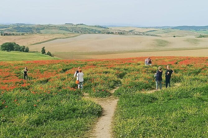 VIP Brunello Montalcino, Montepulciano & Val d'Orcia with Lunch - An In-Depth Look at the Tour Experience