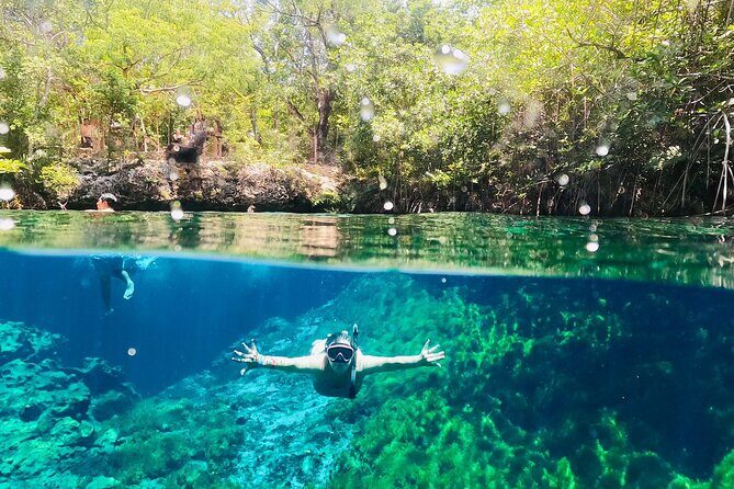 VIP Cenotes, ATVs & Ziplines Private Tour - Who Will Enjoy This Tour?