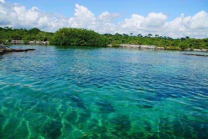 VIP Cenotes Private Tour - Key Points