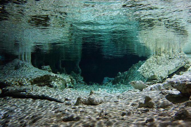 VIP Cenotes Private Tour - Who Is This Tour Best Suited For?