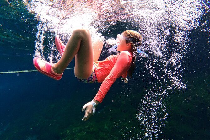 VIP Cenotes Private Tour (half-day) - Discovering the Magic of Mexico’s Cenotes