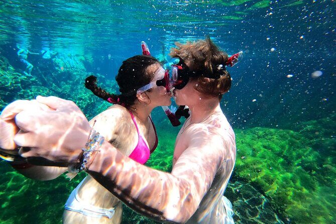 VIP Cenotes Private Tour (half-day) - The Sum Up