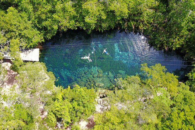 VIP Cenotes & Turtles Private Tour - The Value of the Experience