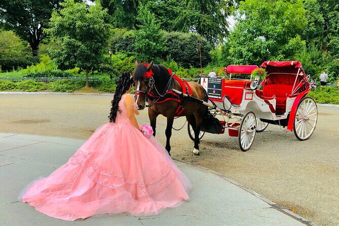 VIP Central Park Champagne Tour with Photos(50 min)~Skip the line - The Value and Cost Analysis