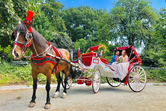 VIP Central Park Champagne Tour with Photos(50 min)~Skip the line - Who Would Love This Tour?