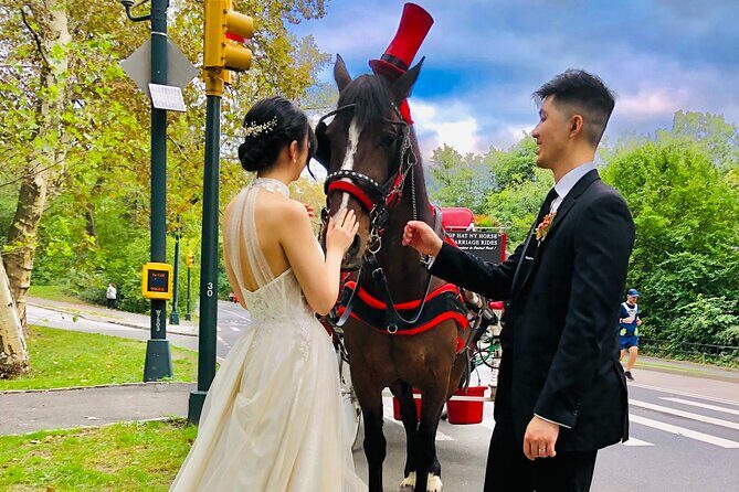 VIP Central Park Champagne Tour with Photos(50 min)~Skip the line - FAQ