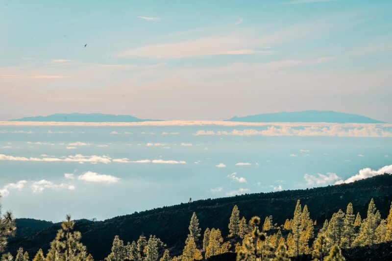 Vip Eco Tours Masca & Teide - The Sum Up