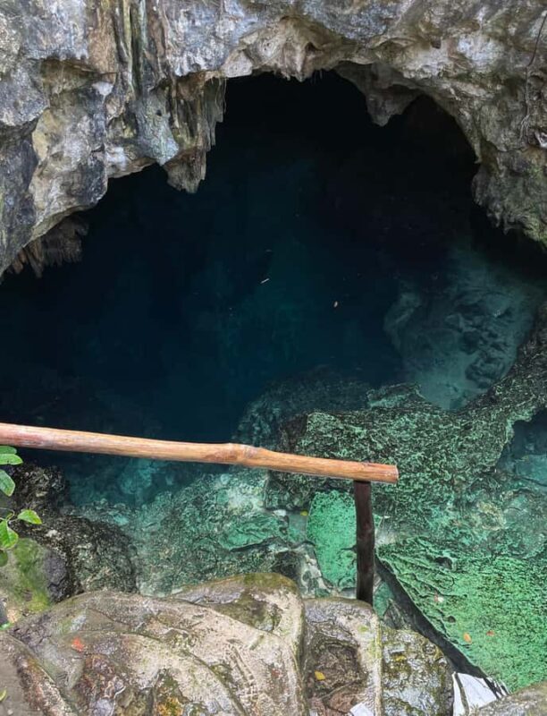 VIP Express Snorkel in 4 Paradise Cenotes - An Authentic Look at the Cenotes Tour